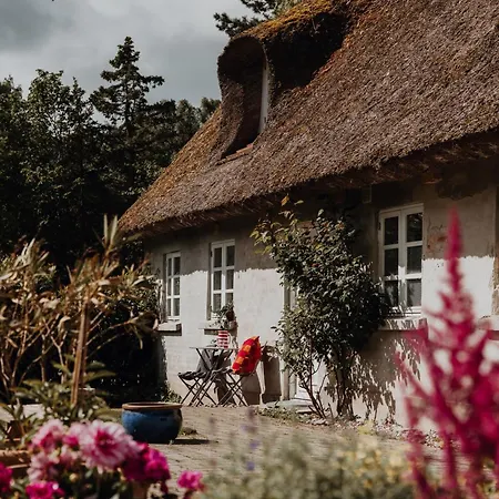 Idillyc Summer And Winter House On Horse Farm Casa vacanze Dronningmølle