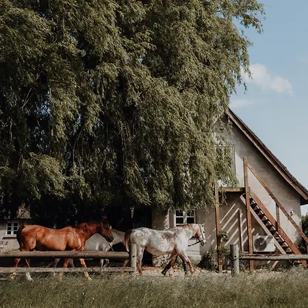 Casa vacanze Idillyc Summer And Winter House On Horse Farm Dronningmølle