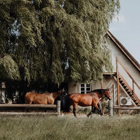 Idillyc Summer And Winter House On Horse Farm *